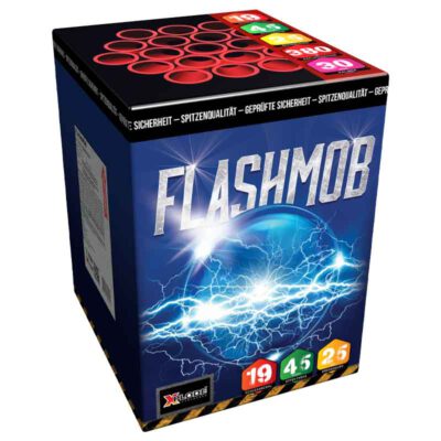 Feuerwerksbatterie Flashmob